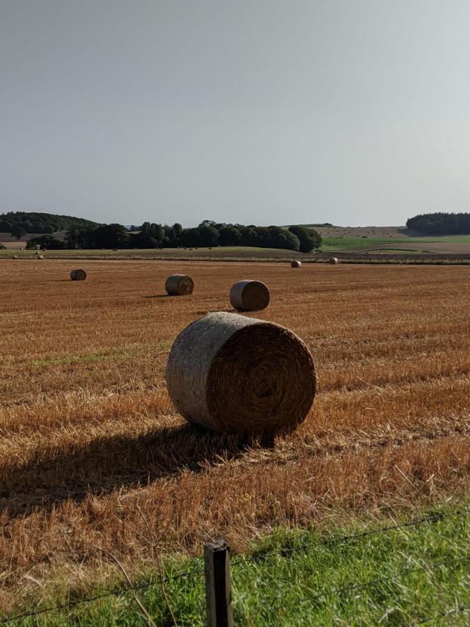 La Maronniere Lägenhet Challignac Exteriör bild